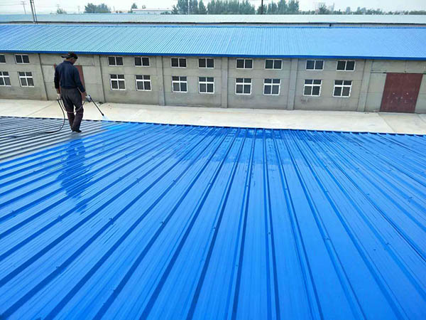 芦淞 彩钢瓦喷漆翻新工业厂房、仓库