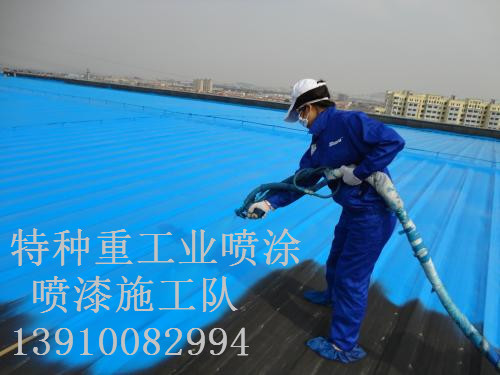 芦淞包括彩钢瓦喷漆翻新（